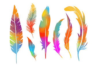 A set of silhouettes of feathers. Vector illustration