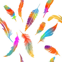 Bird feathers seamless pattern. Vector illustration