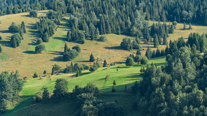 Aerial view of valley.