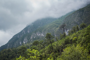 Fototapeta na wymiar Día nublado en las montañas
