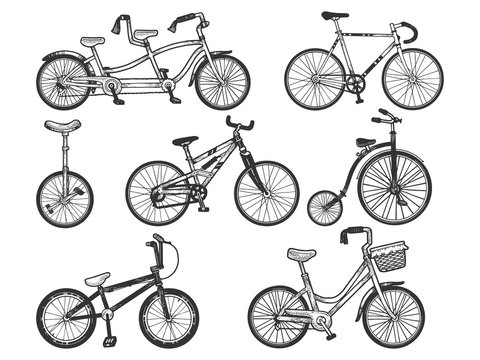 Bicycle set sketch engraving vector illustration. T-shirt apparel print design. Scratch board style imitation. Hand drawn image.