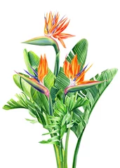 Fotobehang Strelitzia boeket van tropische bloemen en bladeren, Strelitzia reginae op een afgelegen witte achtergrond, aquarel tropische planten, botanische illustratie, wenskaart, paradijsvogel