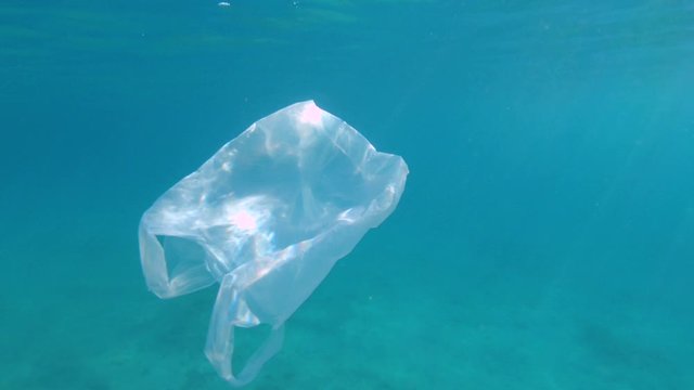Underwater shoot of a discarded plastic bag floating below sea level