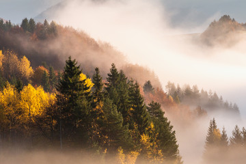 Autumn landscape, foggy morning in the region of Orava, Slovakia, Europe.