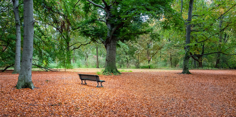 Herbstlaub