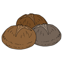 Vector of bread. Logo bakery products. Icon of fresh pastries. Banner hot bread. Bun icon.