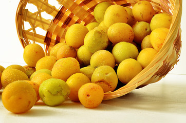Yellow ripe plum in a wicker basket on a white background. Ripe plum. Yellow plum. Collected plum in the basket.