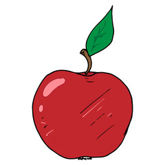 Apple icon. Vector illustration of an apple. Hand drawn apple doodle.