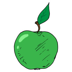Green apple icon. Vector illustration of an apple. Hand drawn.