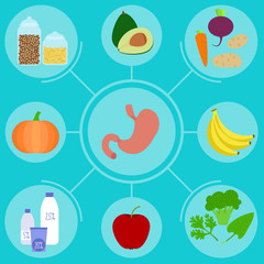 Infographics of food for helpful for healthy stomach. Nutrition advice for healthy lifestyle.