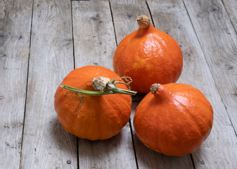 Uchiki kuri squash, a pumpkin type vegetable known as onion squash