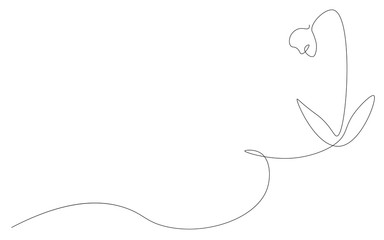 Flower background blooming line draw, vector illustration