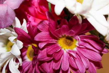 pink and white flower