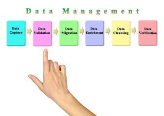 Six steps of Data Management