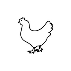 Fototapeta na wymiar chicken icon. hen symbol. outline vector sign, linear pictogram isolated on white. logo illustration