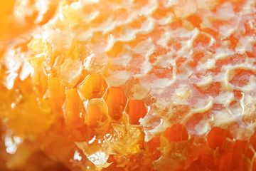 mouthwatering sweet delicious background with chunks of Golden honeycomb covered in wax and...