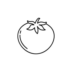 Tomato, line sign, icon vector. Minimalistic logo design. Vector illustration isolated on white background. EPS 10