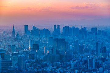 Tokyo Aerial Cityscape Sunset View