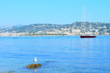 Obraz premium View to Cannes from Sainte Marguerite island, France