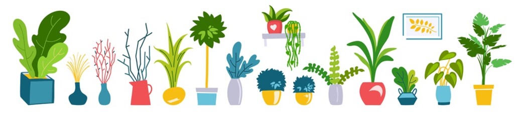 Houseplants flat illustrations vector set. Hand drawn flower pots with ornamental indoor plants