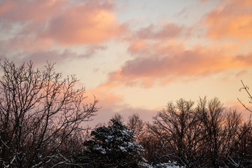 Fototapeta na wymiar A Winter Sunrise following a snow storm.