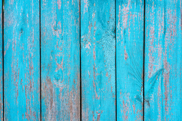 Fototapeta na wymiar old wooden fence blue paint peeling board texture. Background