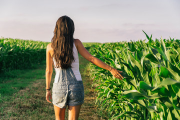 Female farmer taking a walk in a corn field at sunset