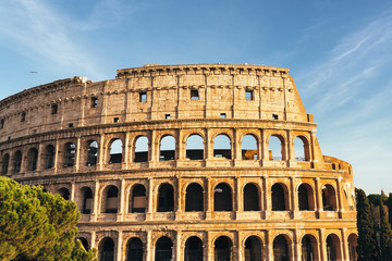 Naklejka premium Roma coliseum or colosseum theater, Rome, Italy