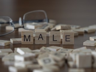 The concept of Male represented by wooden letter tiles