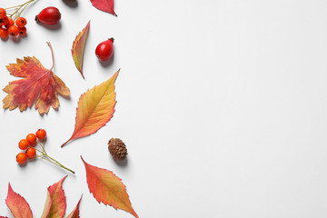 Naklejka na ściany i meble Beautiful composition with autumn leaves on white background, flat lay. Space for text
