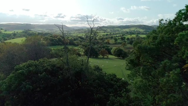 Aerial view over rural British landscape, featuring green fields and lush rows of trees