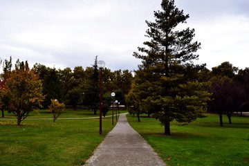Parque y perfección.