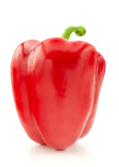 Red bell pepper on white background