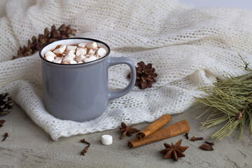 winter and autumn hot drinks. winter decoration. cup of hot cocoa or chocolate with marshmallow and cinnamon with anise star on white background.