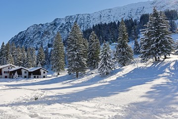 landscape with trees and mountains in winter