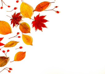 Frame made of autumn leaves