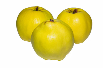Three ripe Quince Cydonia oblonga. Quince on the white background. Quince closeup.