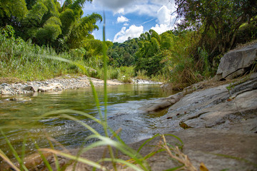 River in Jayuya, Puerto Rico at La Piedra Escrita Petroglyphs Site