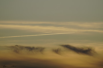 plane clouds avion sobre cielo nublado  al atardecer malaga andalucia