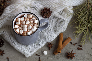 winter decoration. cup of hot cocoa or chocolate with marshmallow and cinnamon with anise star on white background. top view. copy space. winter and autumn hot drinks. 