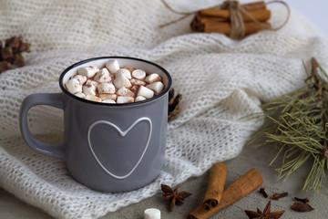 Fototapeta na wymiar winter decoration. Grey cup of hot cocoa or chocolate with marshmallow and cinnamon with anise star on white background. winter and autumn hot drinks. 
