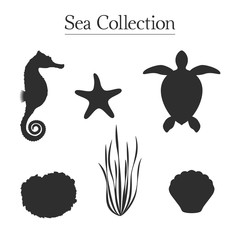 Vector silhouettes of seahorse, sea turtle, algae, mollusc shell, sponge and starfish. Isolated set of 6 objects on white background. Fully editable sea icons collection for your own projects.