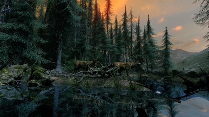 Hirsch am Abend © Lignum-Solutions