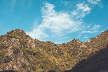 Fototapeta premium colorful forest under sky