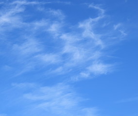 Fototapeta premium Schleierwolken am blauen Himmel - Himmelsbilder