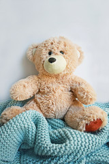A soft, fluffy bear sits on a knitted blanket.Children's toy.