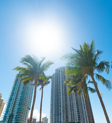 Sun shining over downtown Miami's skyscrapers - obrazy, fototapety, plakaty