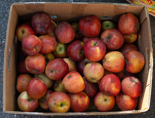 Apples in a box for sale