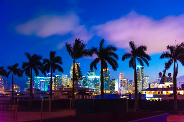 Obraz premium Palmy i drapacze chmur w Miami w nocy