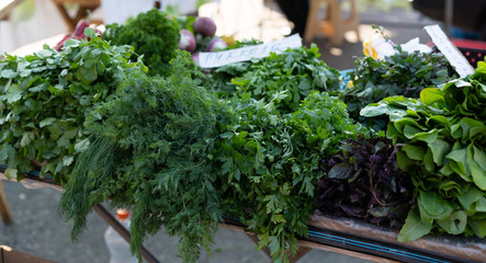 Fototapeta na wymiar Dill parsley on the counter for sale.
